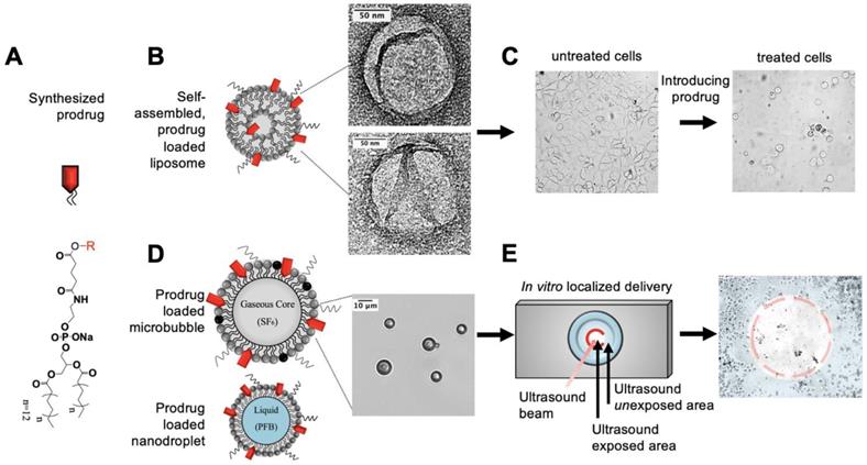 Nanotheranostics Image