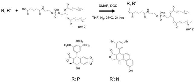 Nanotheranostics Image