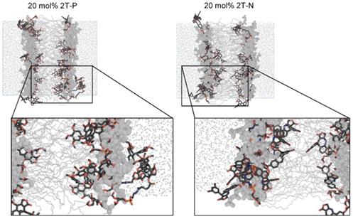 Nanotheranostics Image