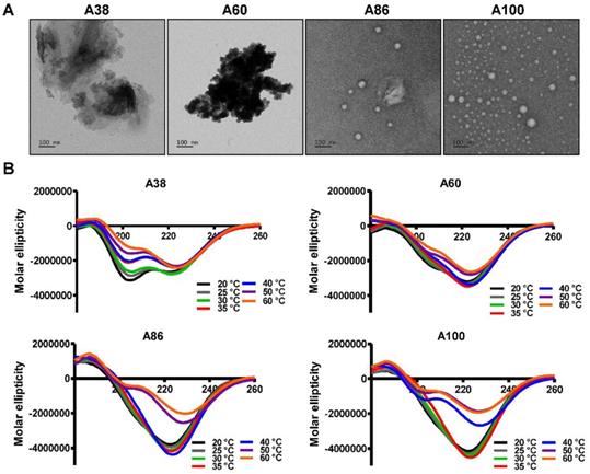 Nanotheranostics Image