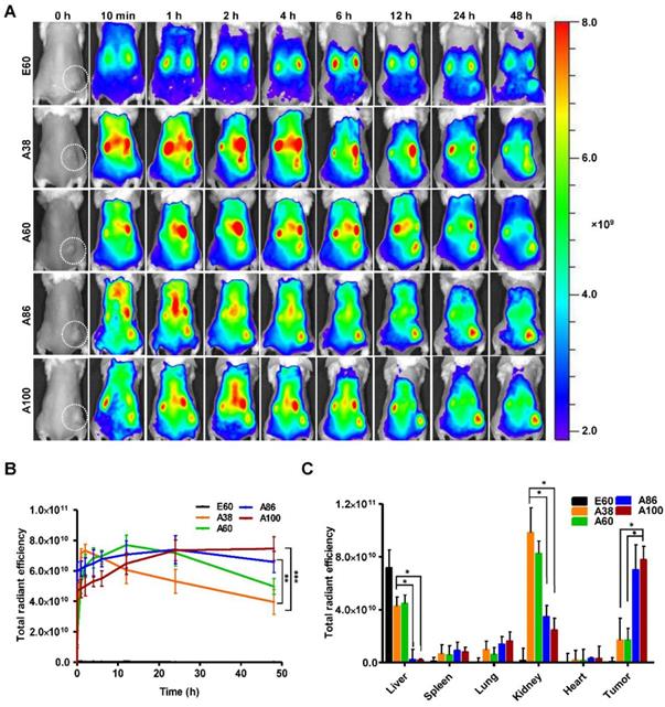 Nanotheranostics Image