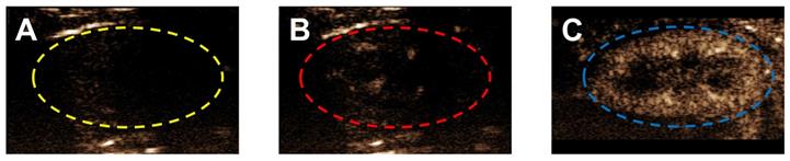 Nanotheranostics Image