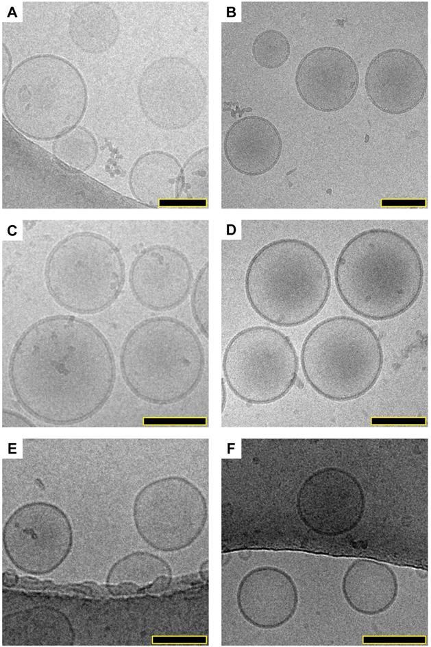 Nanotheranostics Image