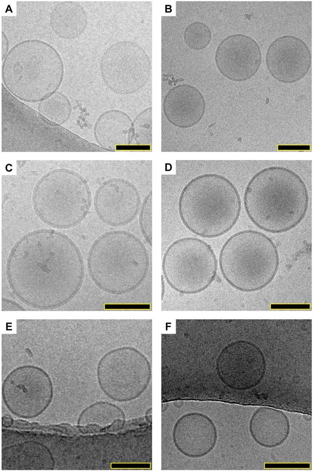 Nanotheranostics Image