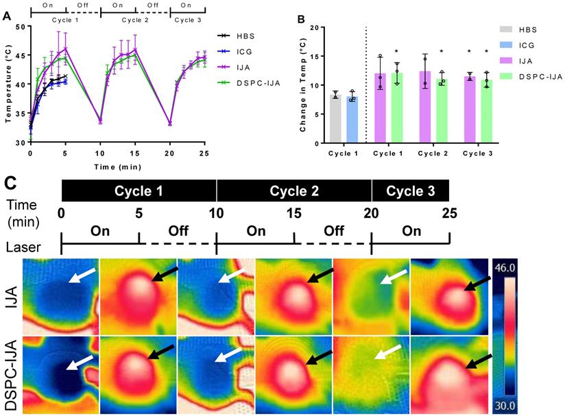 Nanotheranostics Image