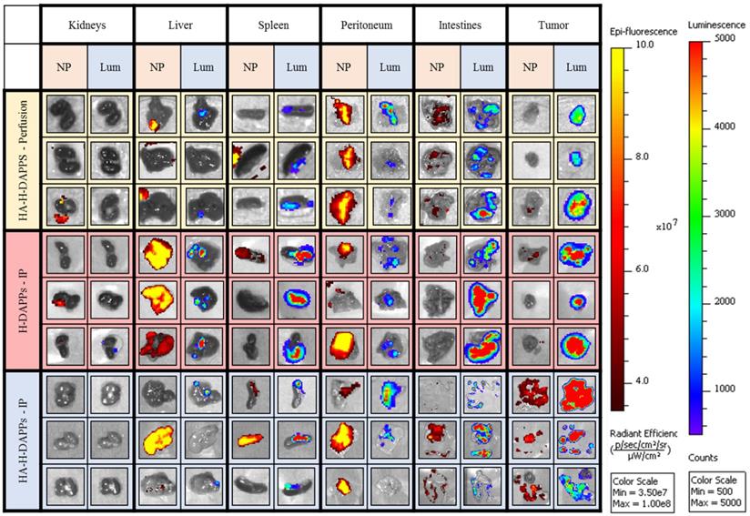 Nanotheranostics Image