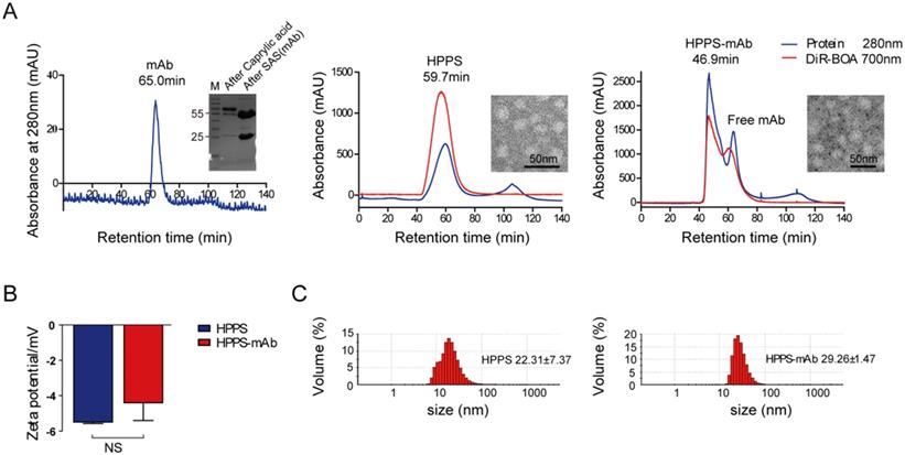 Nanotheranostics Image