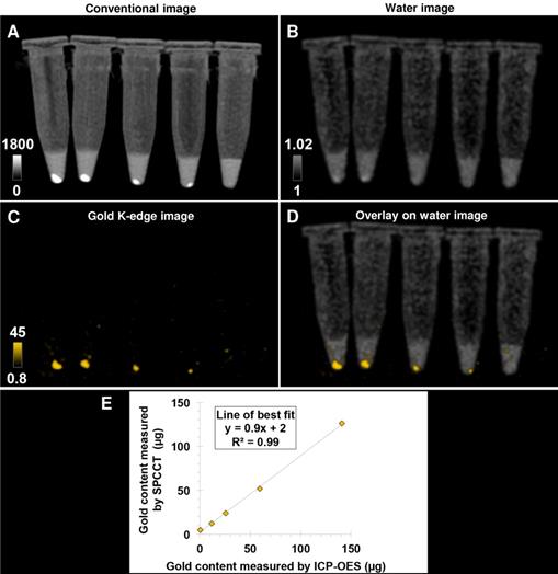 Nanotheranostics Image