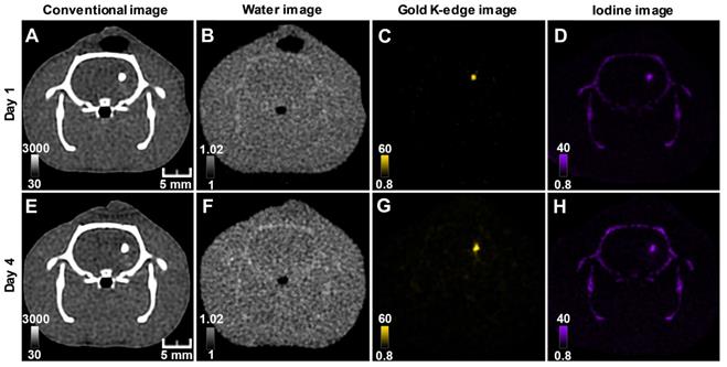 Nanotheranostics Image