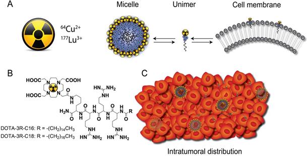 Nanotheranostics Image