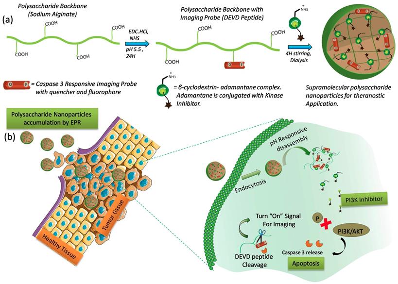 Nanotheranostics Image