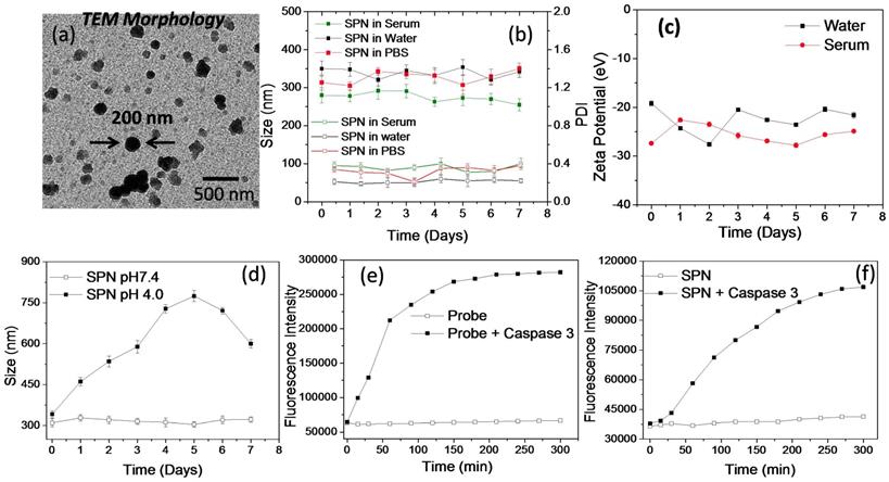 Nanotheranostics Image