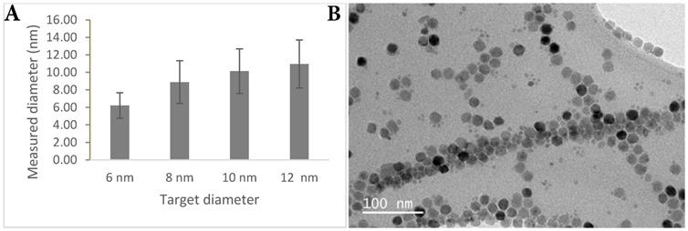 Nanotheranostics Image