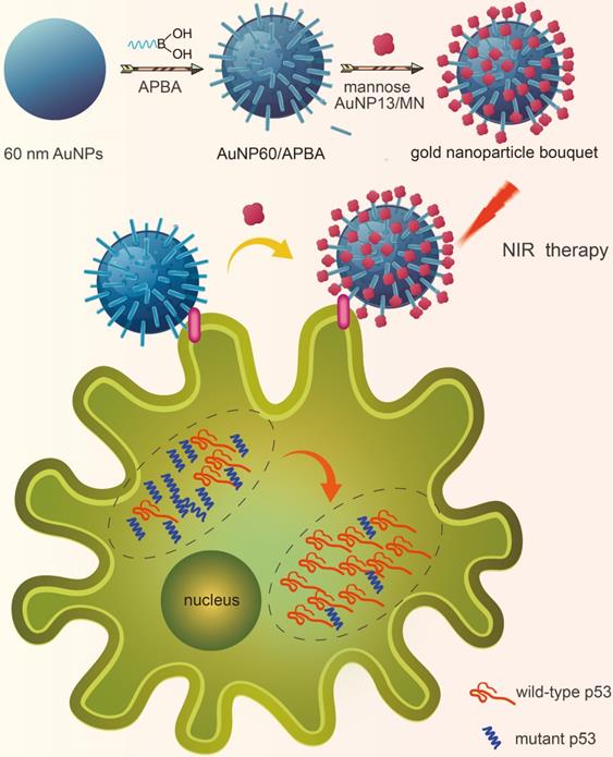 Nanotheranostics Image