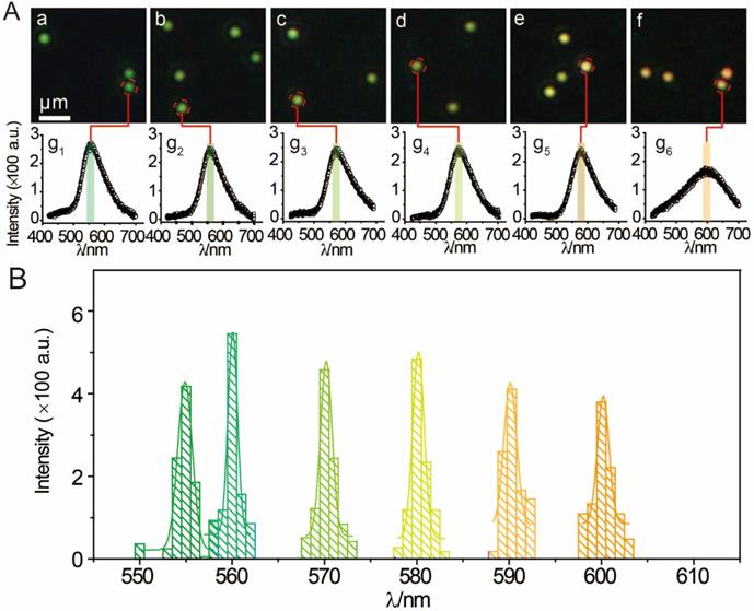 Nanotheranostics Image