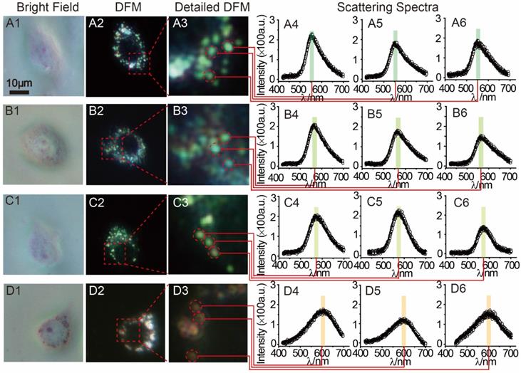 Nanotheranostics Image