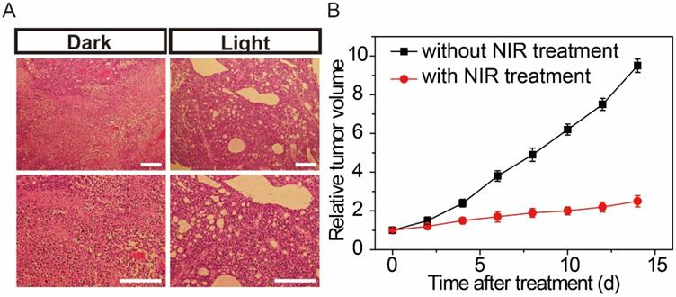 Nanotheranostics Image