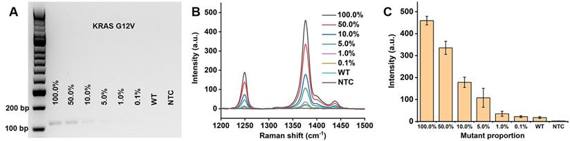 Nanotheranostics Image