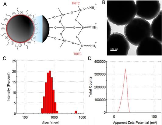 Nanotheranostics Image