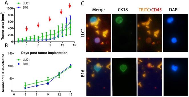 Nanotheranostics Image