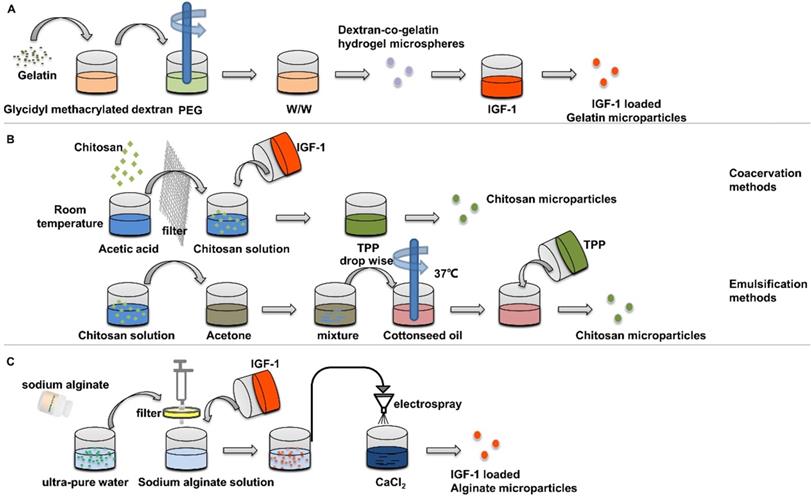 Nanotheranostics Image