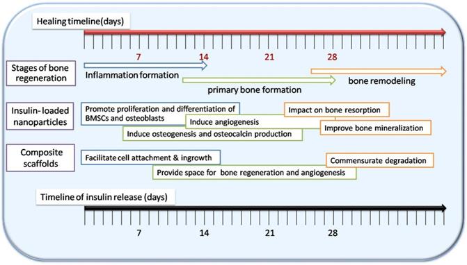 Nanotheranostics Image