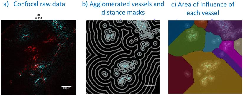 Nanotheranostics Image