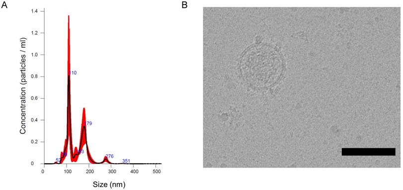 Nanotheranostics Image