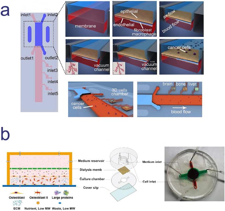 Nanotheranostics Image