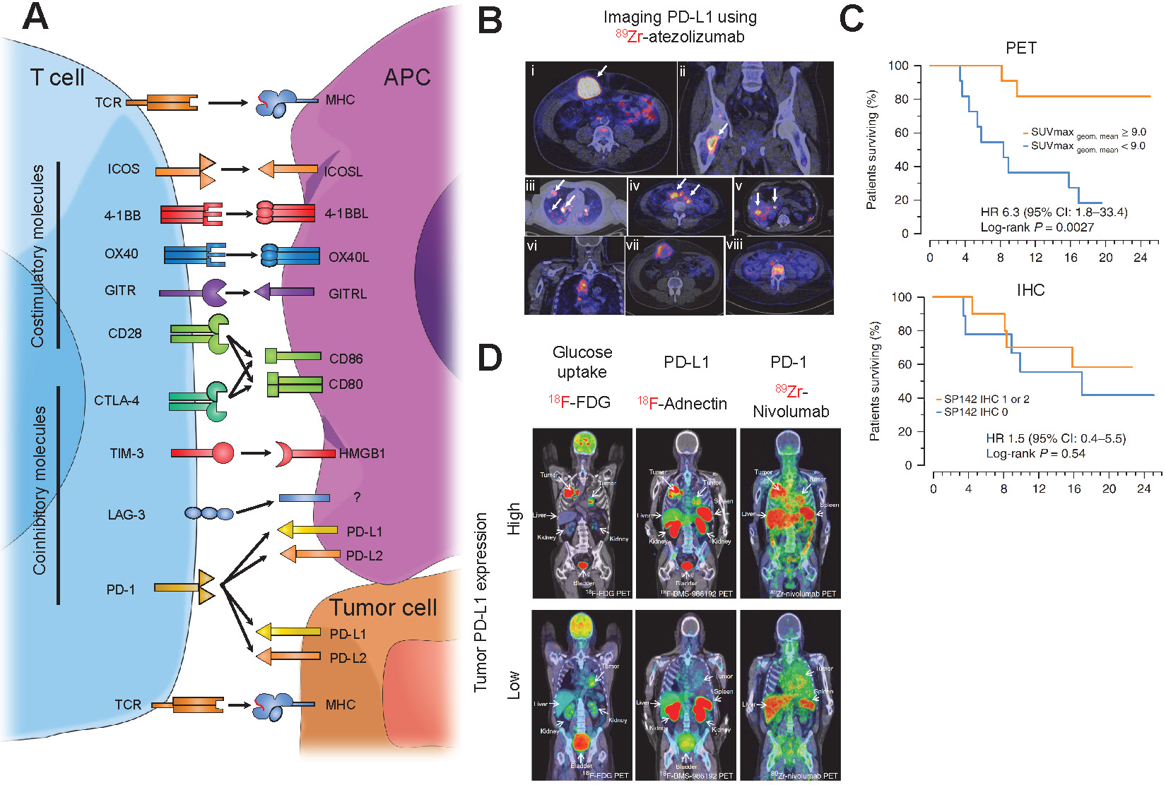 Nanotheranostics Image