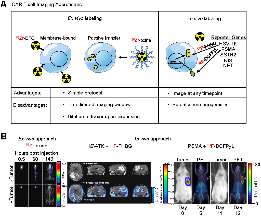 Nanotheranostics Image