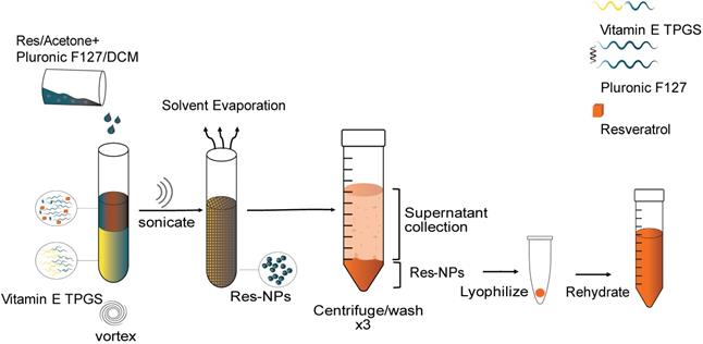 Nanotheranostics Image