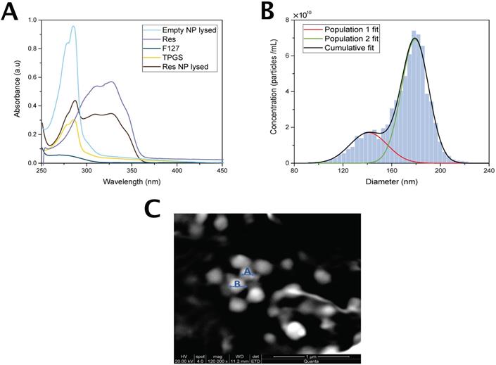 Nanotheranostics Image