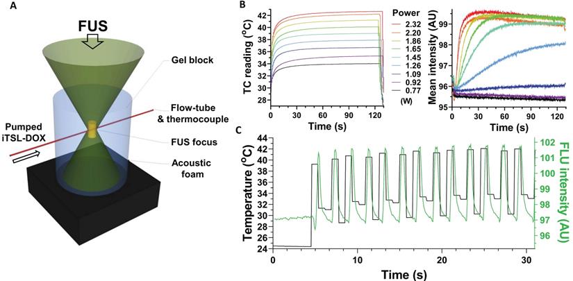 Nanotheranostics Image