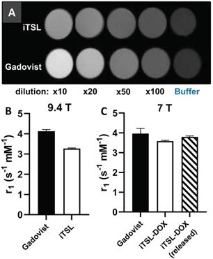 Nanotheranostics Image