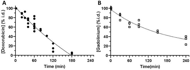 Nanotheranostics Image