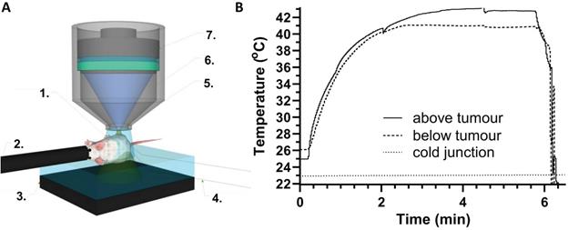 Nanotheranostics Image