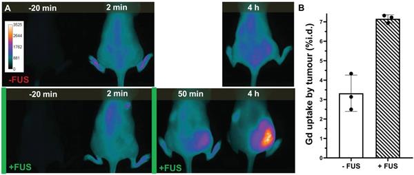 Nanotheranostics Image