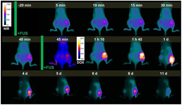 Nanotheranostics Image