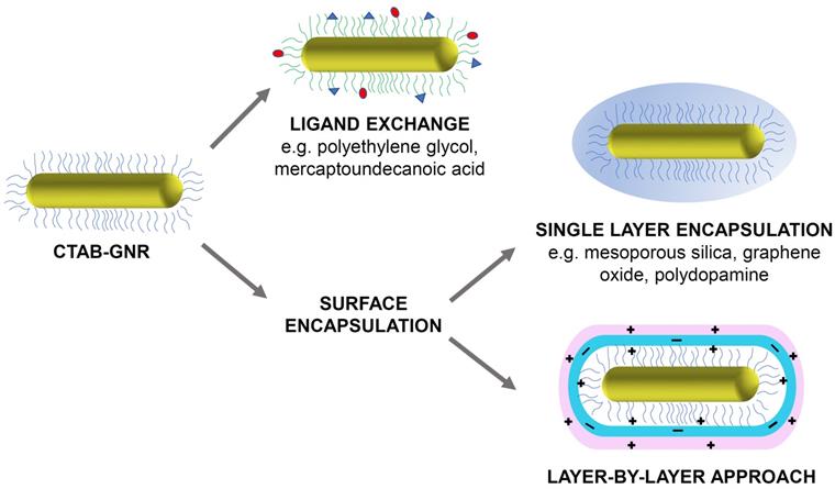 Nanotheranostics Image