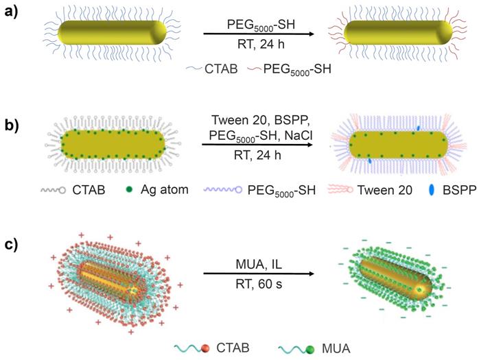 Nanotheranostics Image