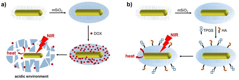 Nanotheranostics Image