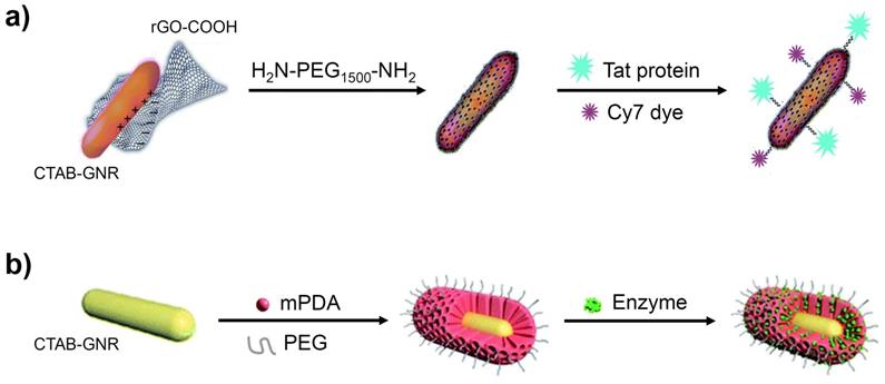 Nanotheranostics Image