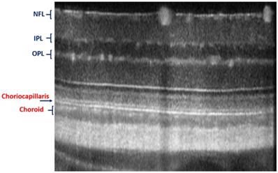 Nanotheranostics Image