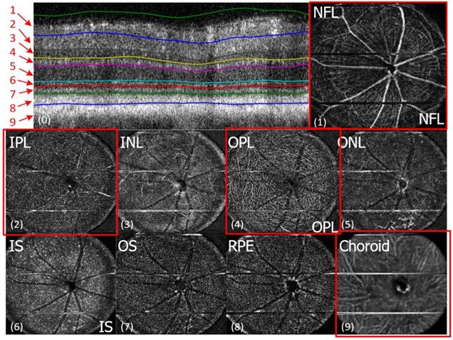 Nanotheranostics Image