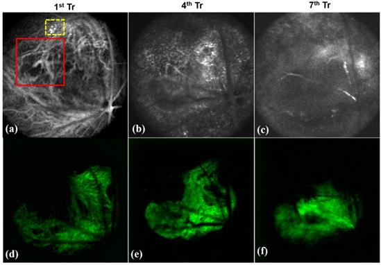 Nanotheranostics Image