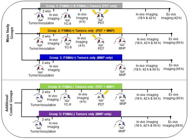 Nanotheranostics Image