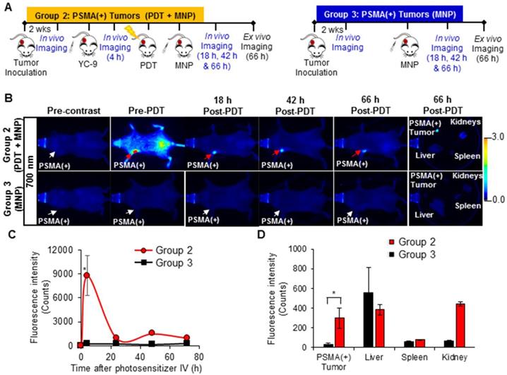 Nanotheranostics Image