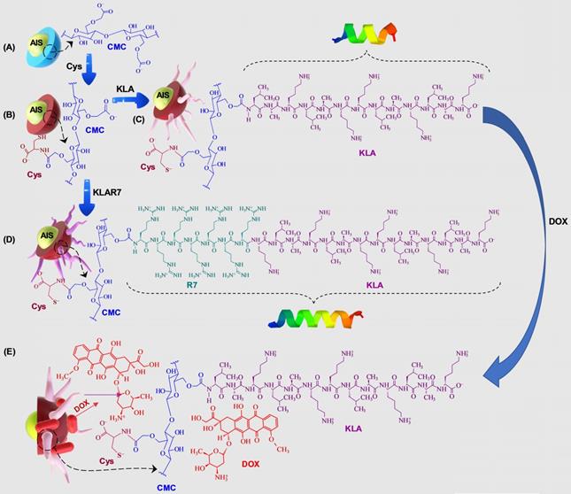 Nanotheranostics Image