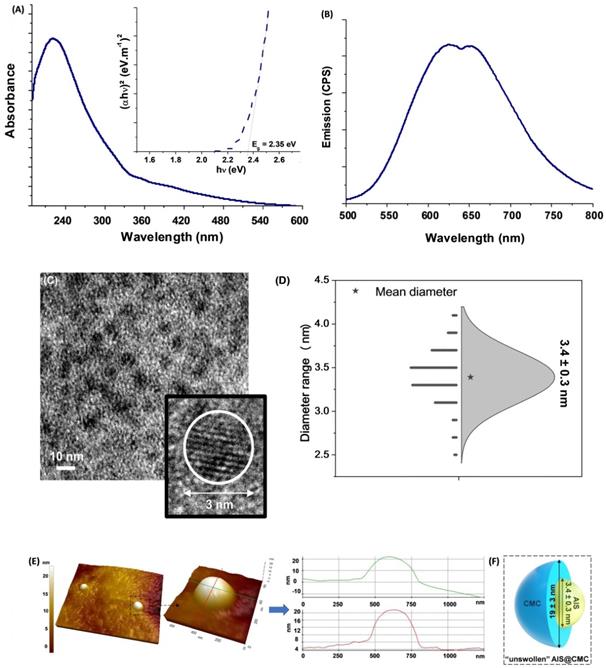 Nanotheranostics Image